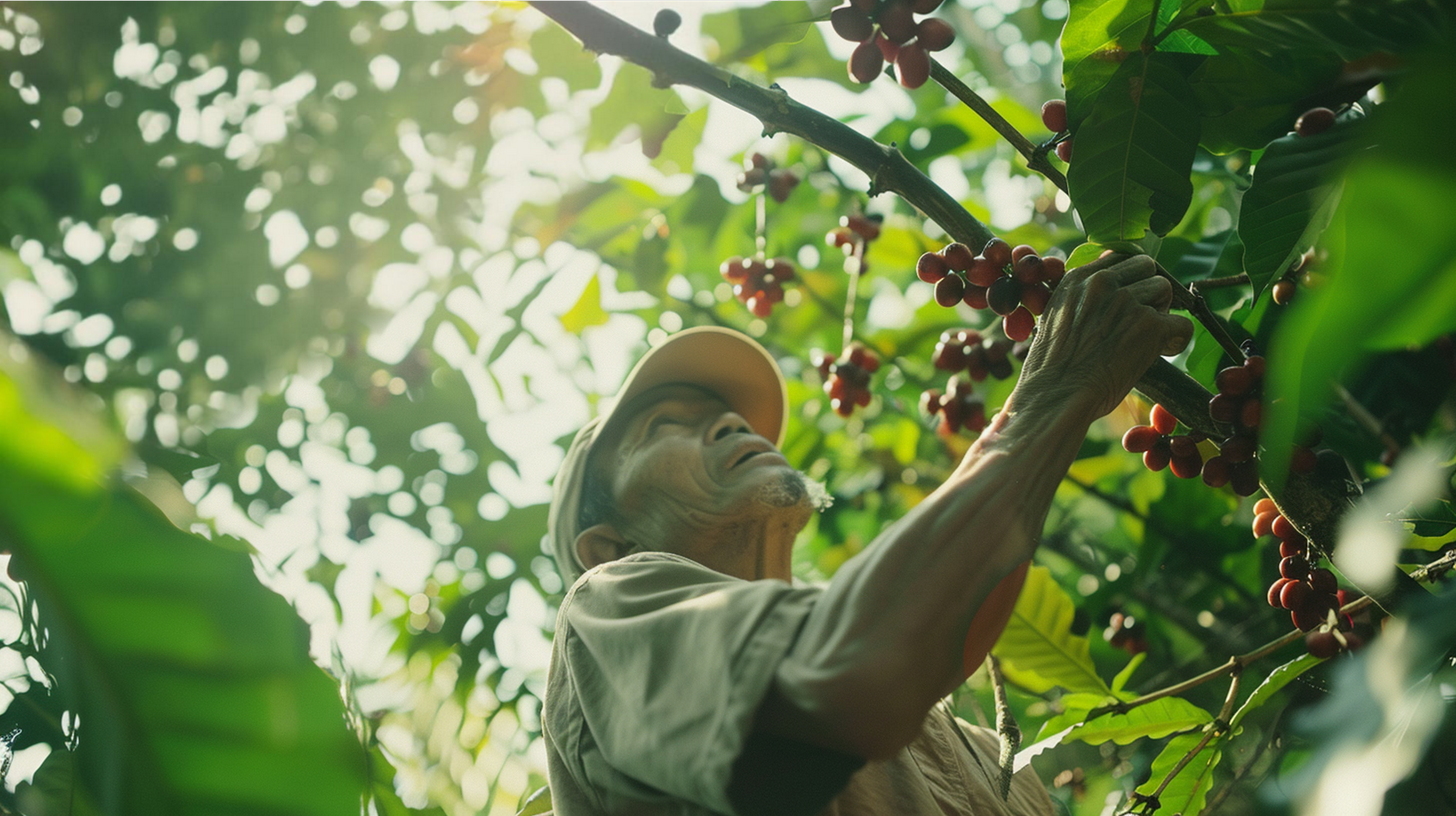 End-to-End Export Management